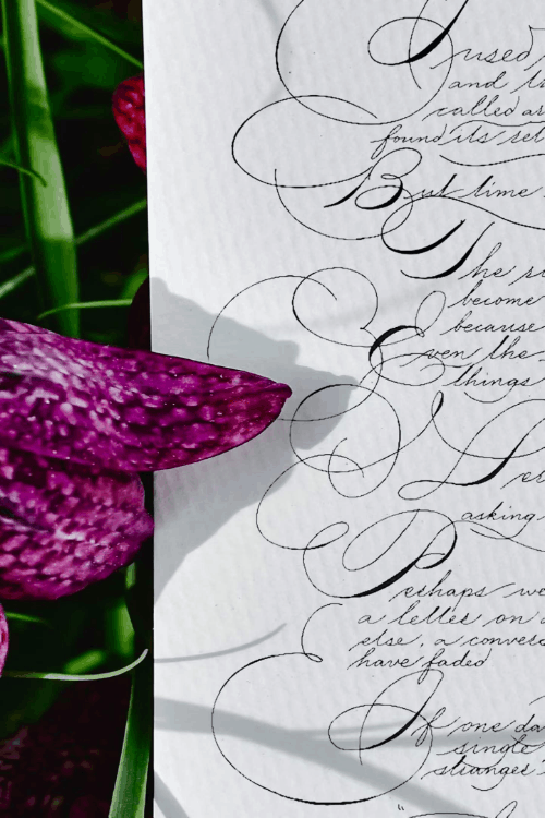 Flower and calligraphy study