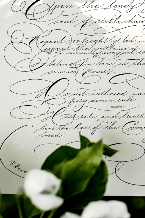 White flower calligraphy study